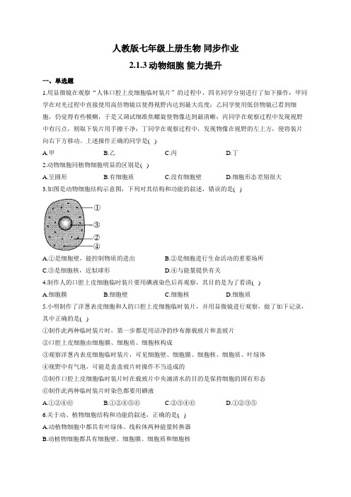 人教版七年级上册生物 同步作业 2