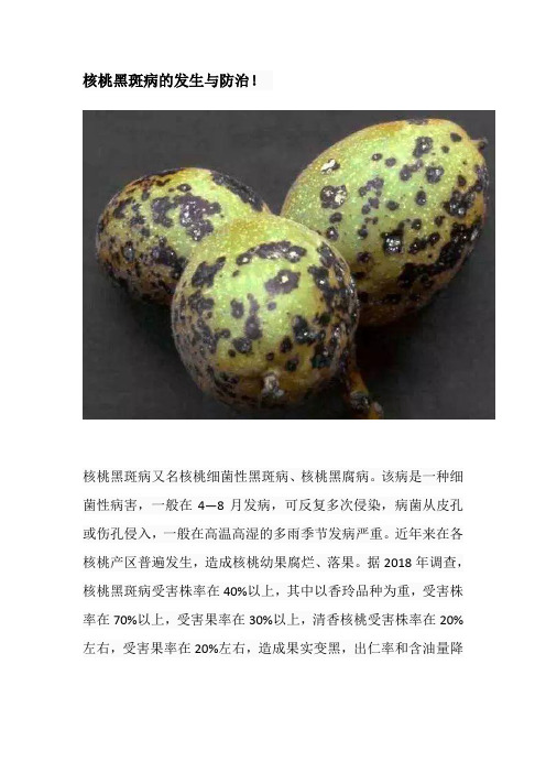 核桃黑斑病的发生与防治