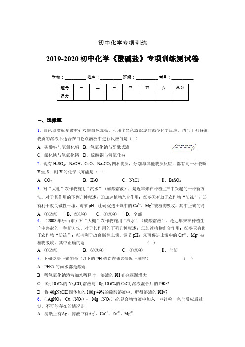 2019-2020学年初中化学《酸碱盐》专项训练模拟测试(含答案) (399)