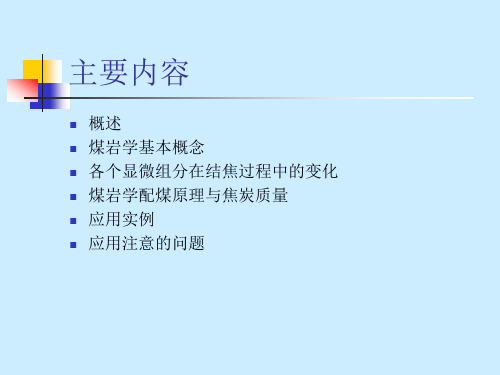 精选应用煤岩学在炼焦生产中的应用培训课件