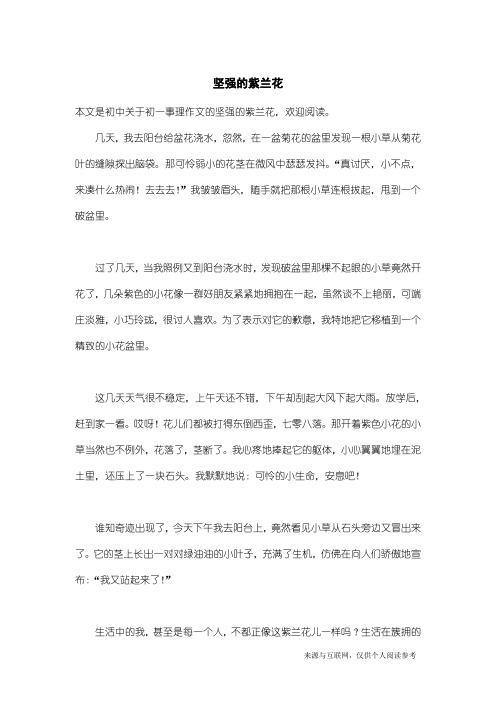 初一事理作文:坚强的紫兰花