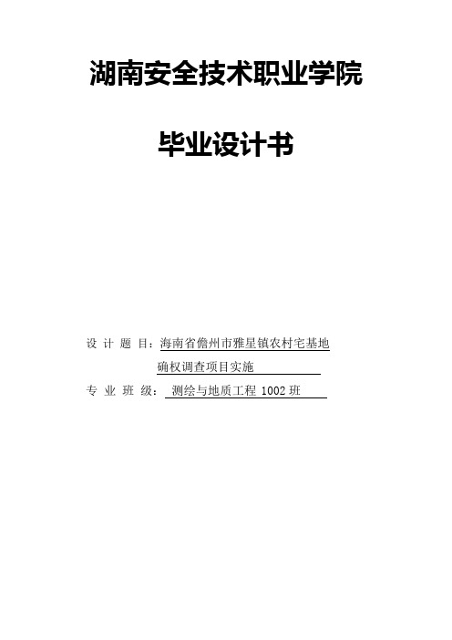 海南省儋州市雅星镇农村宅基地毕业设计论文