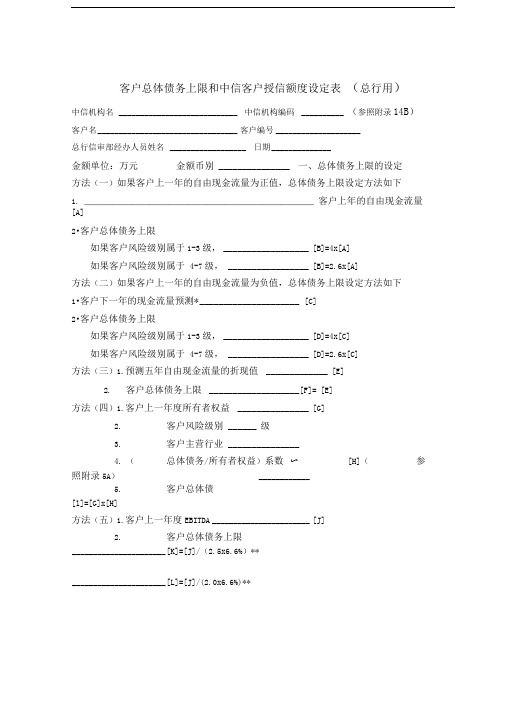 客户总体债务上限和中信客户授信额度设定表