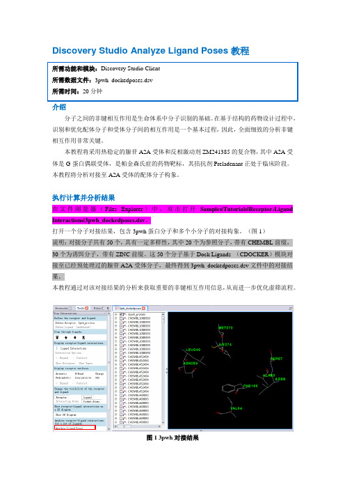 Discovery Studio官方教程(Help-Tutorials) 可视化分子对接非键作用