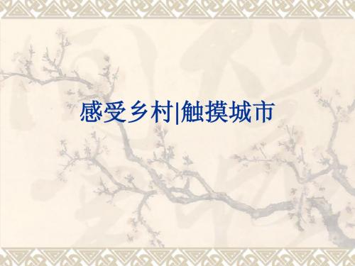 作文:感受乡村触摸城市