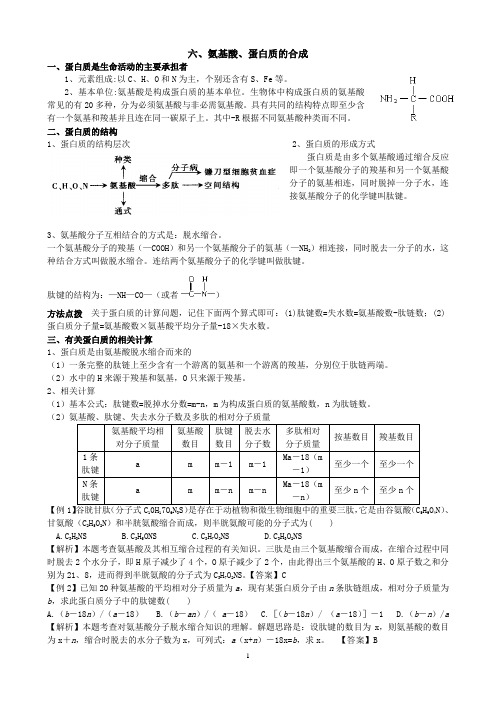 高三生物一轮复习精品教案——氨基酸、蛋白质的合成