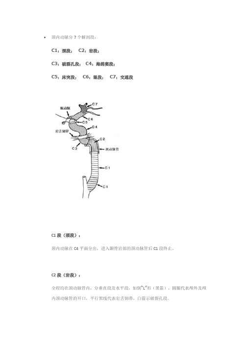 颈内动脉分7个解剖段