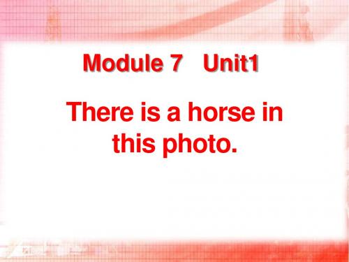《There is a horse in this photo》优选公开课件3