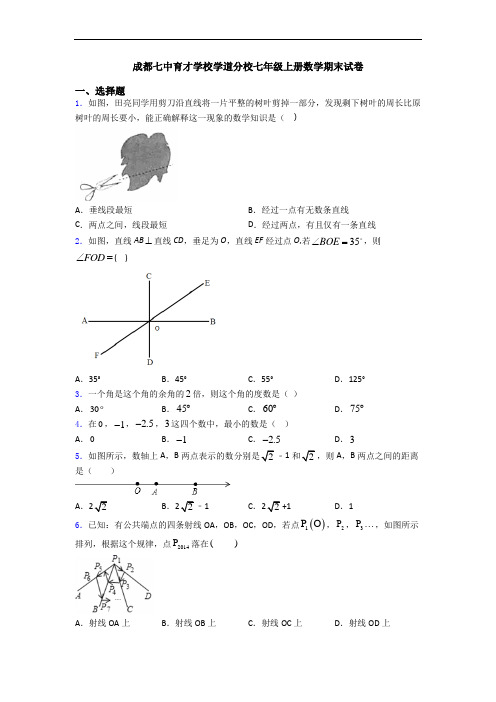 成都七中育才学校学道分校七年级上册数学期末试卷