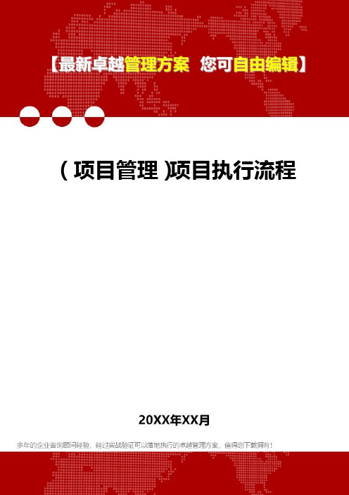 2020年(项目管理)项目执行流程