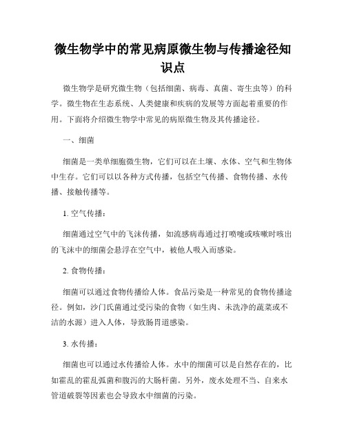 微生物学中的常见病原微生物与传播途径知识点