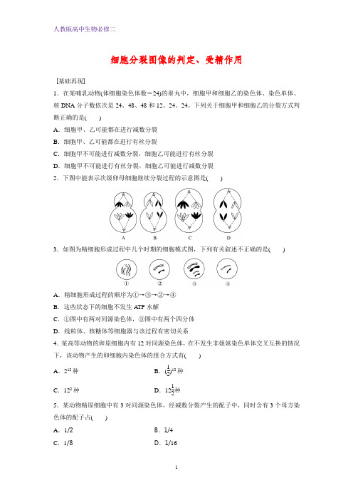 高中生物必修2课时作业6：2.1.3 细胞分裂图像的判定、受精作用