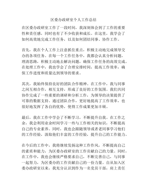 区委办政研室个人工作总结