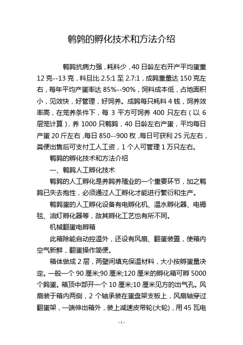 鹌鹑的孵化技术和方法介绍