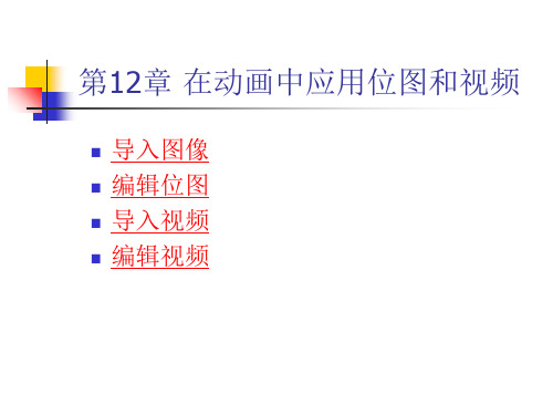 《Flash动画制作精品教程(CS3版)》教学课件 12