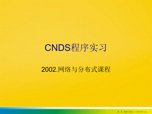 CNDS程序实习PPT