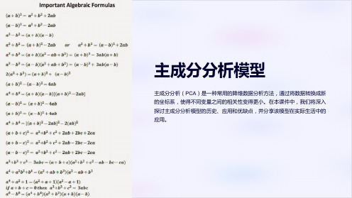 《主成分分析模型》课件