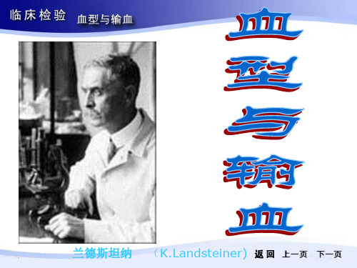 第三章 血型与输血ppt课件
