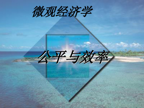 高鸿业微观经济学课件第9章-公平与效率