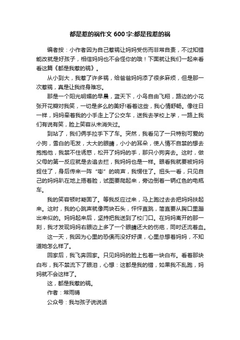 都是惹的祸作文600字：都是我惹的祸