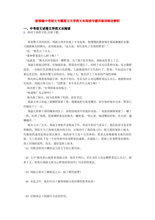 新部编中考语文专题复习文学类文本阅读专题训练训练含解析