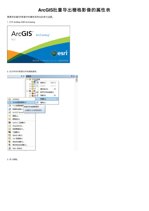 ArcGIS批量导出栅格影像的属性表