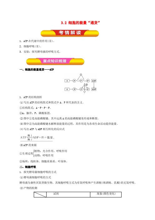 高考生物一轮复习专题3.2细胞的能量“通货”教学案(含解析)