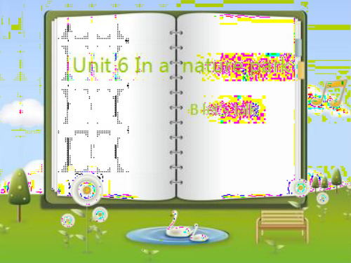 人教版五年级上册-Unit-6-In-a-nature-park-B-Let's-talk