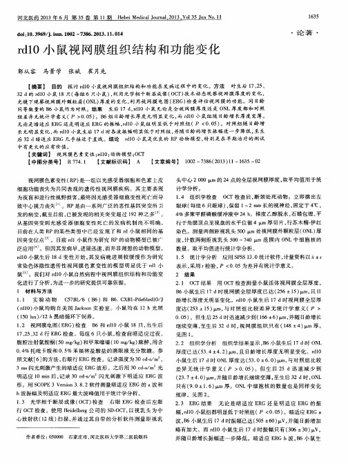 rd10小鼠视网膜组织结构和功能变化