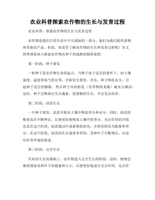 农业科普探索农作物的生长与发育过程