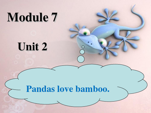 新外研版六年级英语上册Module 7 Unit 2 Pandas love bamboo-课件