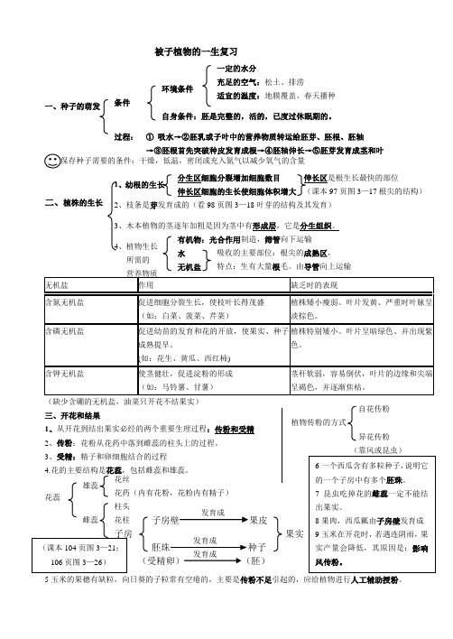 被子植物的一生复习