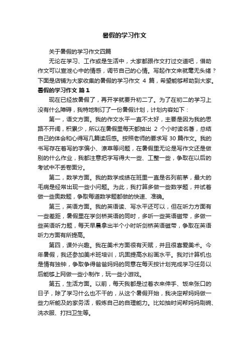 暑假的学习作文