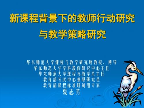 新课程背景下的教师行动研究与教学策略研究.