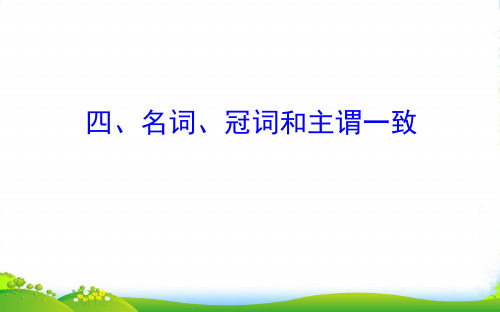 高考英语(外研版)一轮复习课件：语法专项+四、名词、冠词和主谓一致