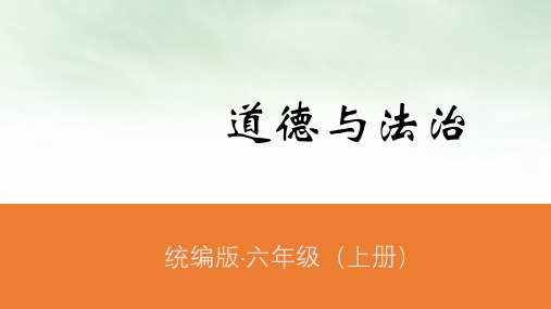 六年级上册道德与法治课件感受生活中的法律人教部编版