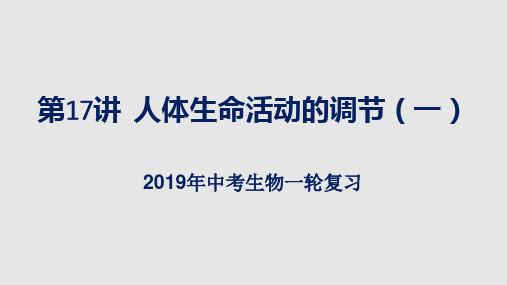 2019年中考生物复习：人体生命活动的调节(一)课件