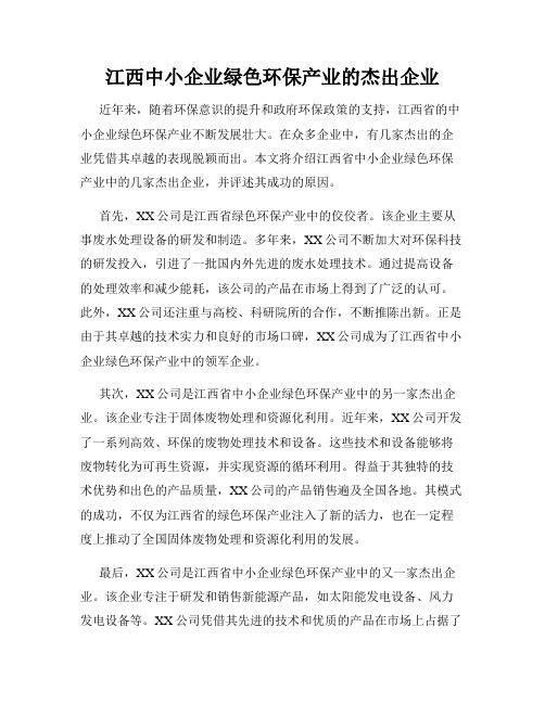 江西中小企业绿色环保产业的杰出企业