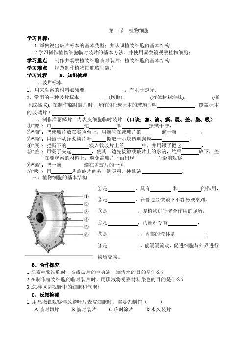 2-1-2植物细胞