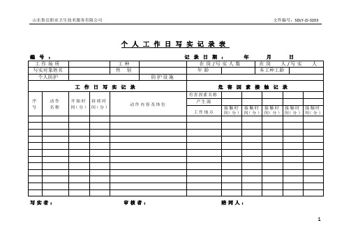 个人工作日写实记录表