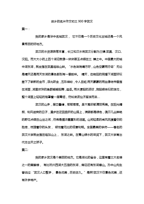 故乡的名片作文初三900字武汉