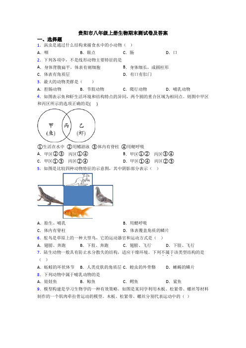 贵阳市八年级上册生物期末测试卷及答案