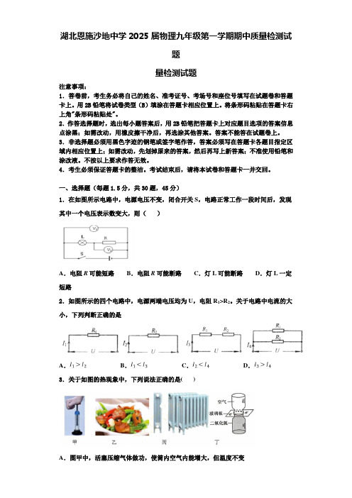 湖北恩施沙地中学2025届物理九年级第一学期期中质量检测试题含解析