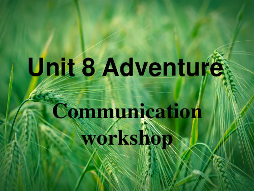 Unit 8 Adventure Communication Workshop课件 北师大版必修3课件