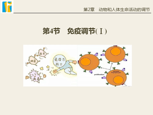 高中生物_《免疫调节》教学课件设计