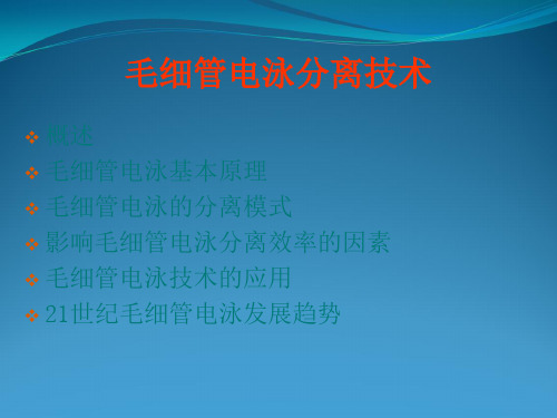 毛细管电泳分离技术资料