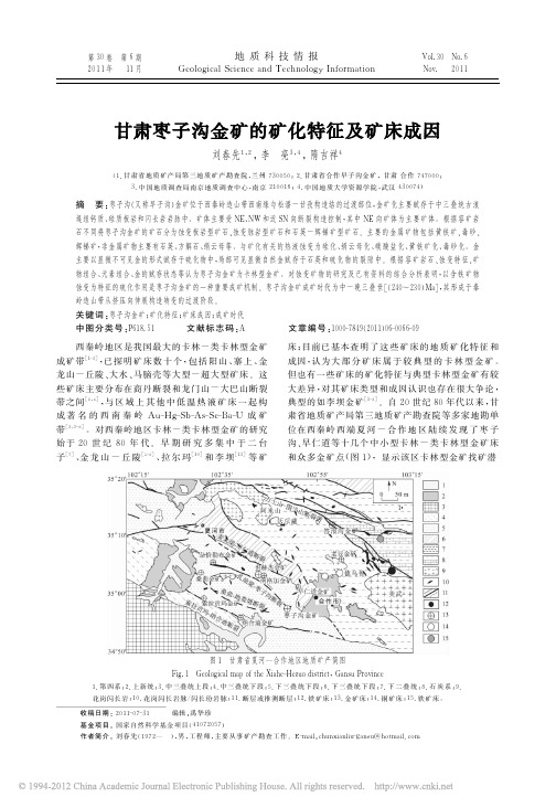 甘肃枣子沟金矿的矿化特征及矿床成因