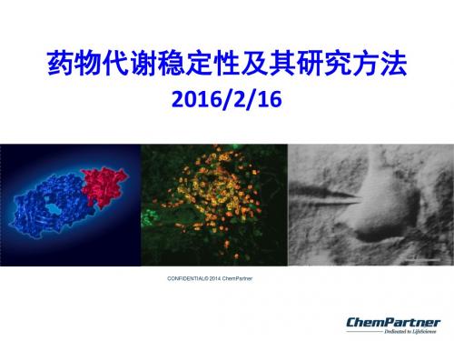 代谢稳定性及其研究方法