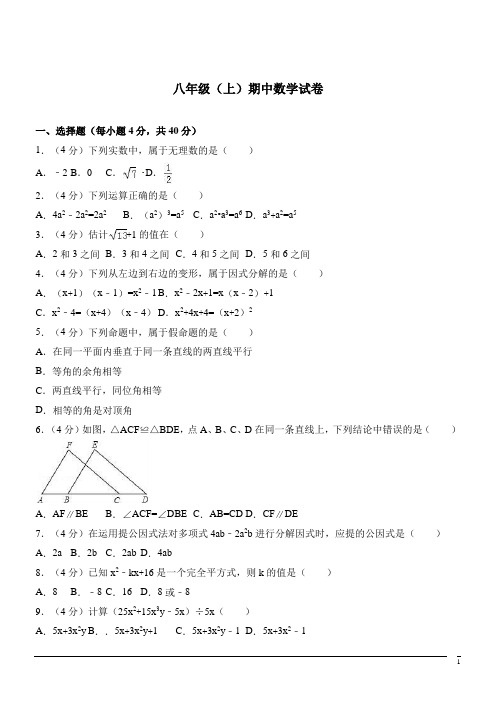 八年级上期中试卷--数学(解析版) (2)