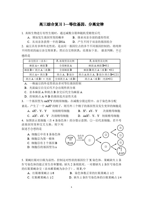 生物高考专题复习--6 等位基因、分离定律